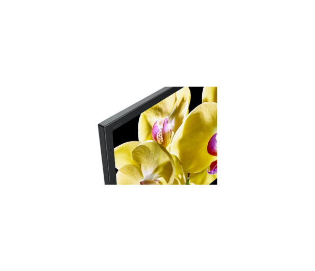 Sony KD-49XG8096 - 507598 - zdjęcie 6